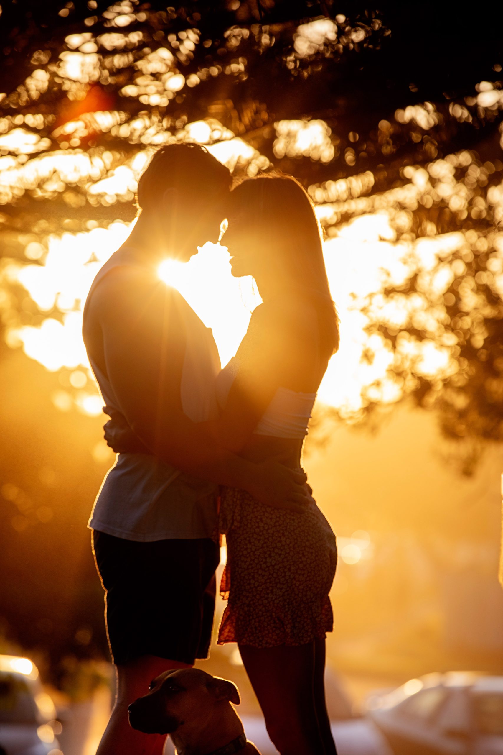 Engaged ~ Kristen & Logan - Life and Love Photography